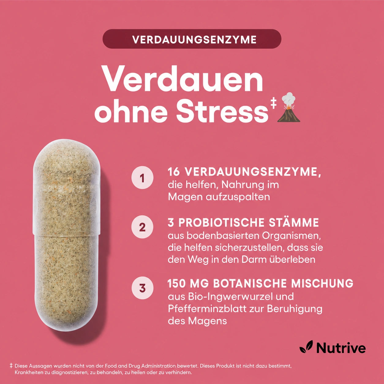 Verdauungsenzyme