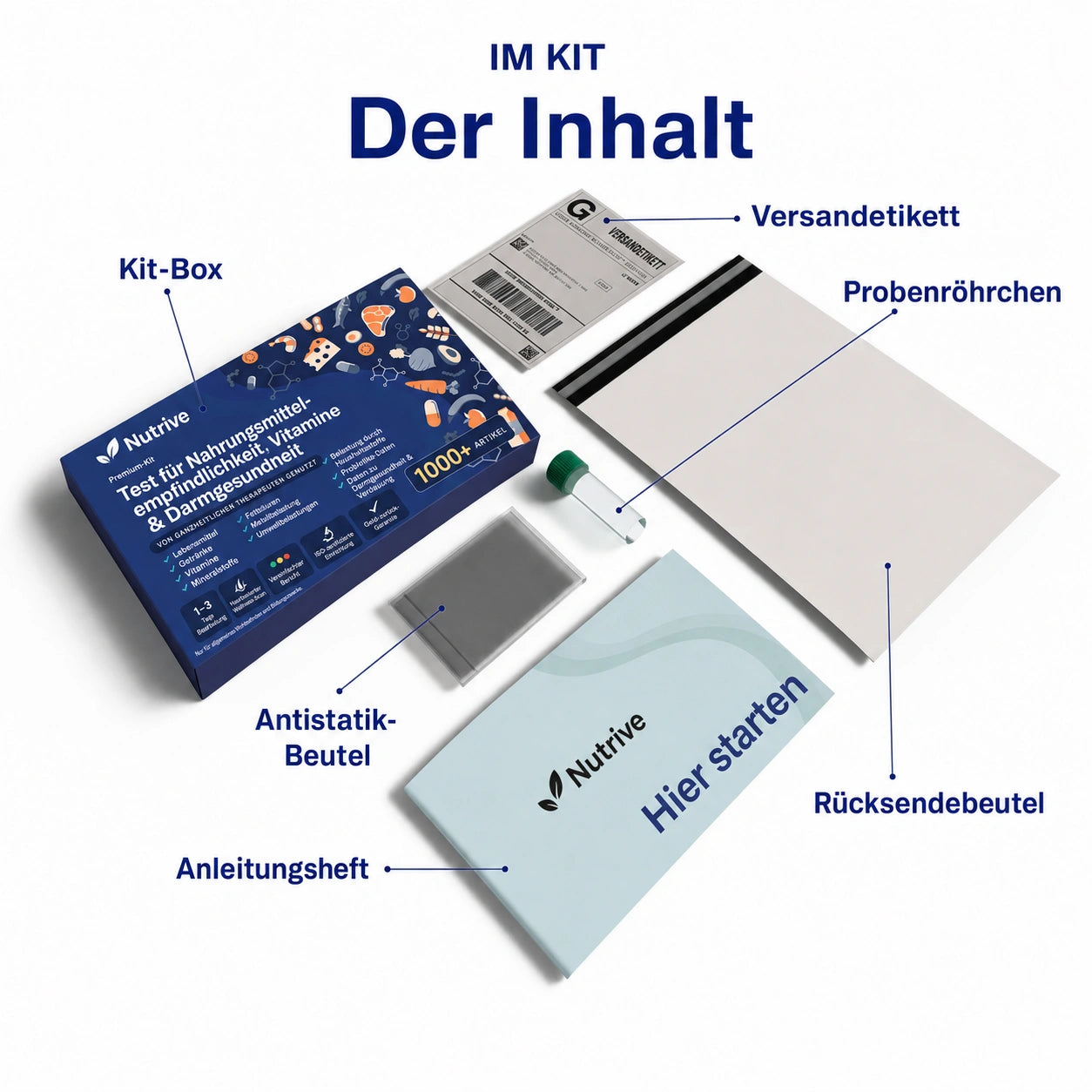 Set mit Lebensmitteln, Vitaminen und Produkten für die Darmgesundheit
